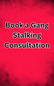 Gang Stalking Consultation